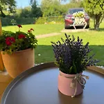 Szarszo With 3 And Private Beach, Private Parking