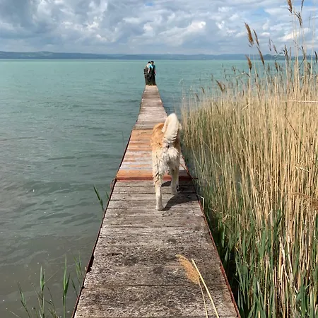 Szarszo With 3 And Private Beach, Private Parking Balatonszarszo