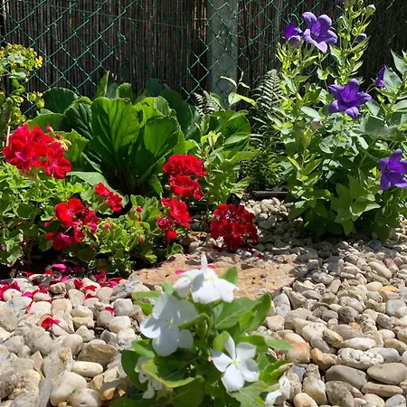 Holiday home Szarszo With 3 And Private Beach, Private Parking Balatonszarszo