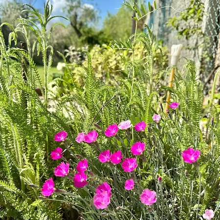 Szarszo With 3 And Private Beach, Private Parking *