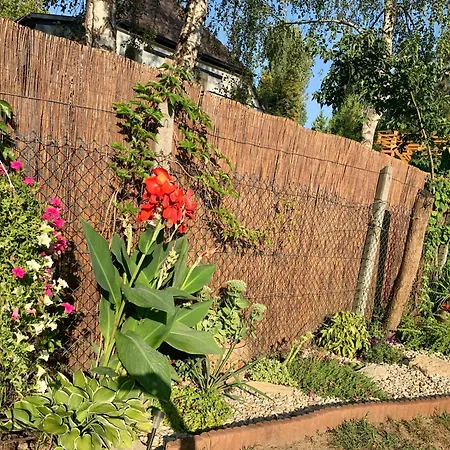 Szarszo With 3 And Private Beach, Private Parking *