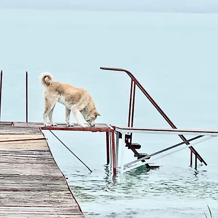 Holiday home Szarszo With 3 And Private Beach, Private Parking *