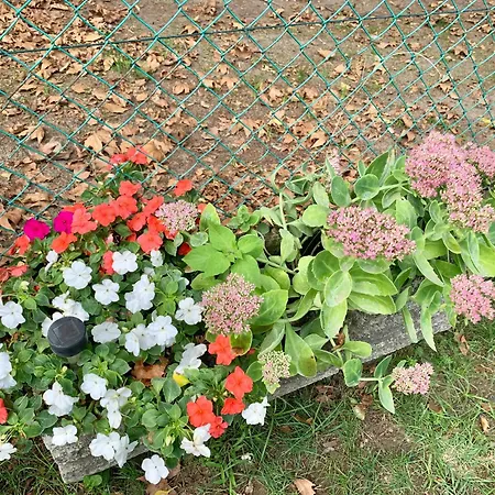 Szarszo With 3 And Private Beach, Private Parking * Balatonszarszo