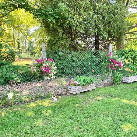 Szarszo With 3 And Private Beach, Private Parking Holiday home