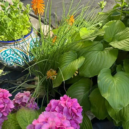 Szarszo With 3 And Private Beach, Private Parking Balatonszarszo