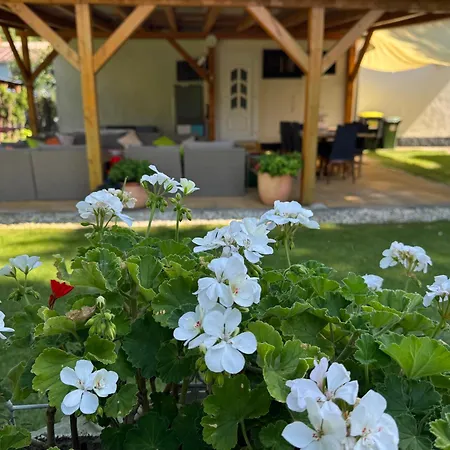 Szarszo With 3 And Private Beach, Private Parking Balatonszarszo