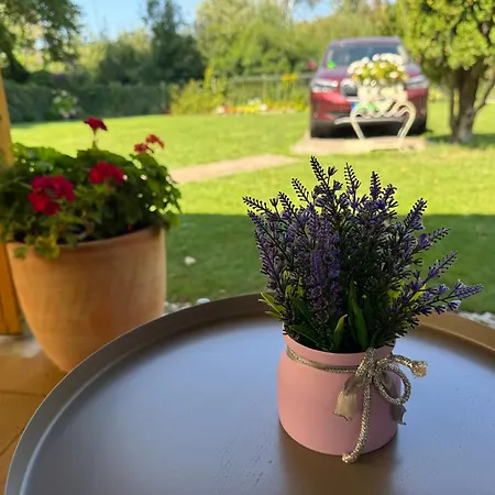 Szarszo With 3 And Private Beach, Private Parking