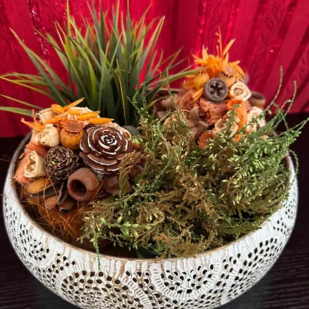 Holiday home Szarszo With 3 And Private Beach, Private Parking