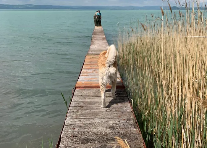 Szarszo With 3 And Private Beach, Private Parking Balatonszarszo