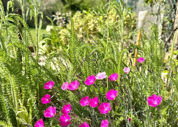 Szarszo With 3 And Private Beach, Private Parking *