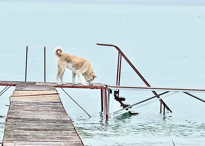 Casa vacanze Szarszo With 3 And Private Beach, Private Parking *