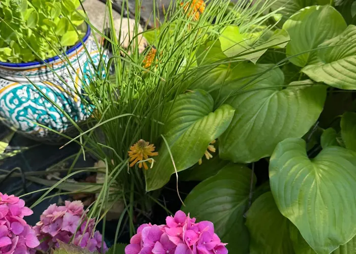 Szarszo With 3 And Private Beach, Private Parking Balatonszarszo